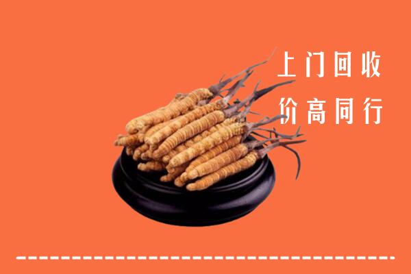 高价求购：红花岗区回收散虫草