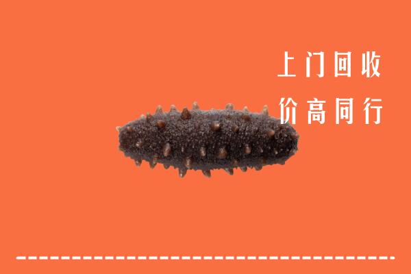 高价求购：红花岗区回收海参