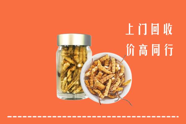 红花岗区回收冬虫夏草