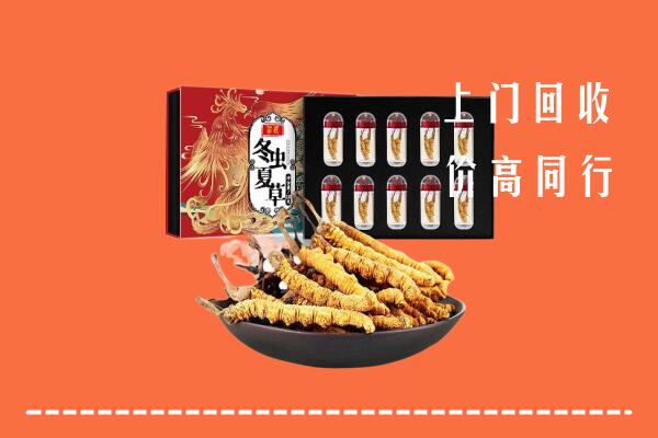 红花岗区回收虫草
